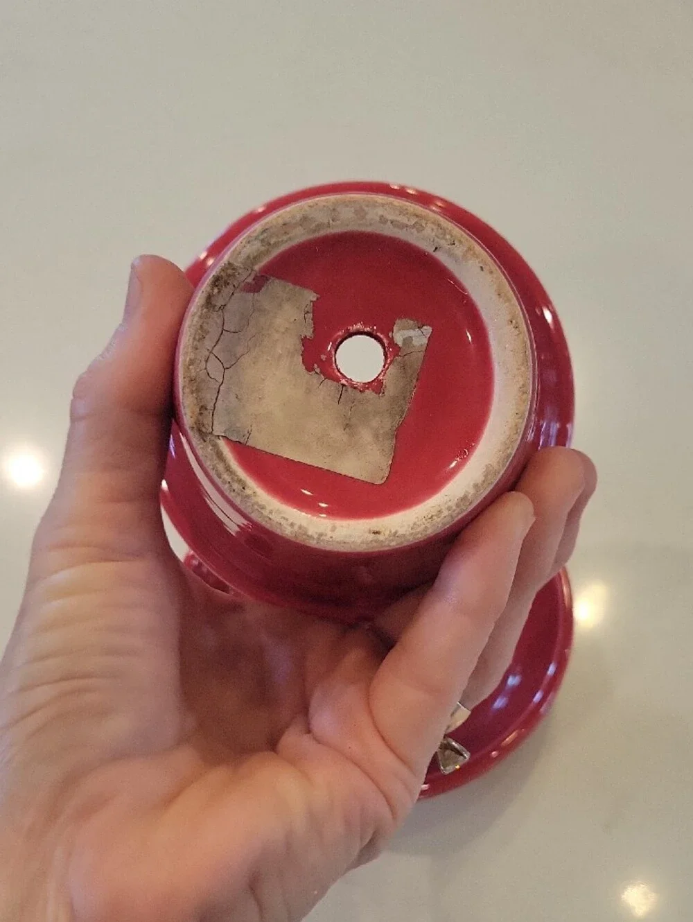 Target Red Ceramic Planter with Saucer